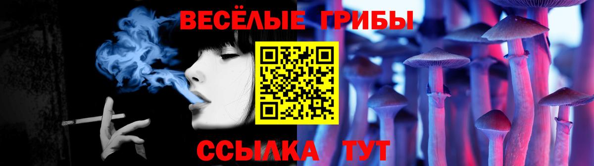 Псилоцибиновые грибы мицелий Гагарин